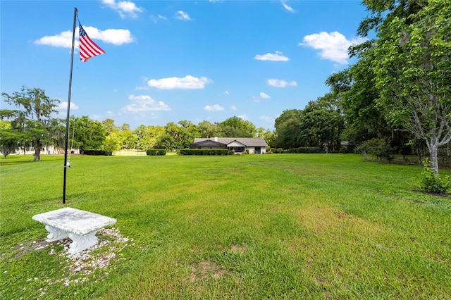 view of green lawn
