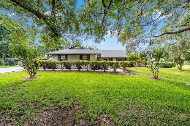 view of front of home with a front lawn and stucco siding