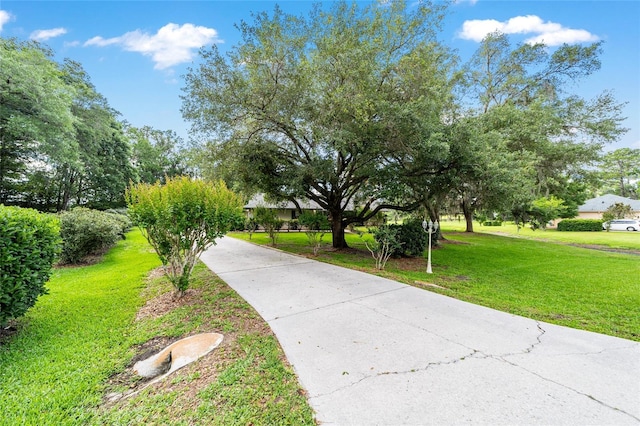 view of community with a lawn