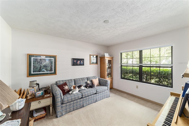 carpeted living area with baseboards and a textured ceiling