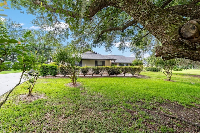 ranch-style house with a front yard and stucco siding