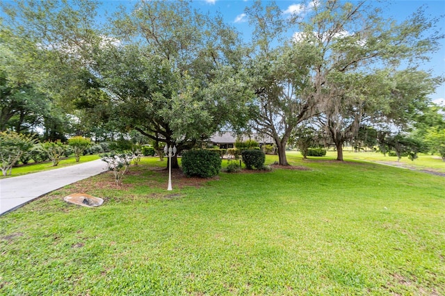 view of green lawn with concrete driveway