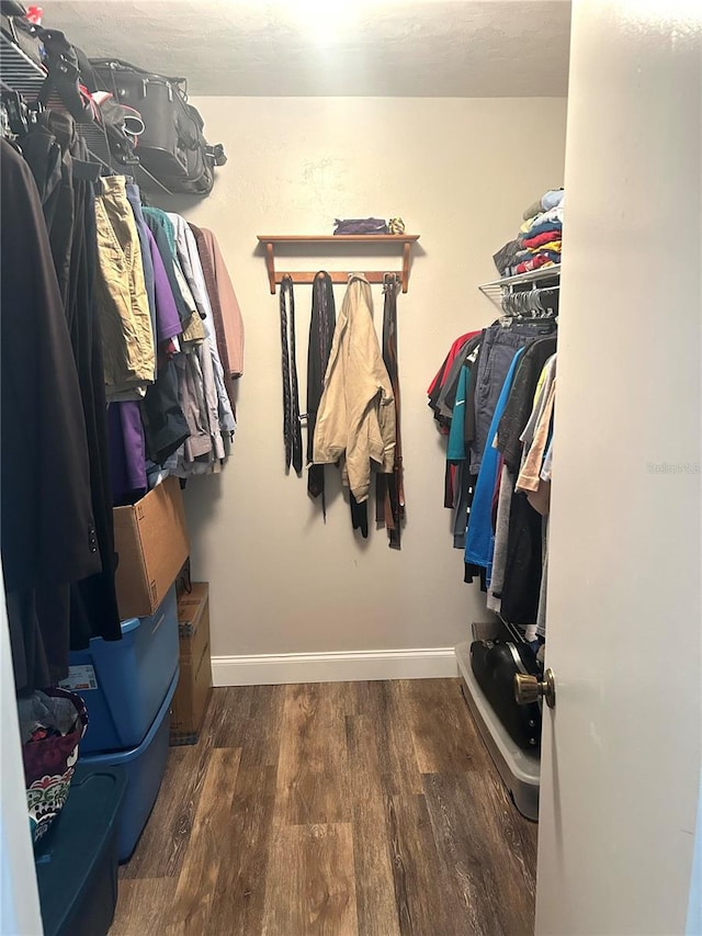 2715 NW 104th Ct Unit 1, Gainesville, FL 32606 - spacious closet with wood finished floors