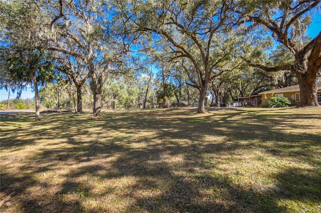 3299 County Road 521, Wildwood, FL 34785 - photo 4
