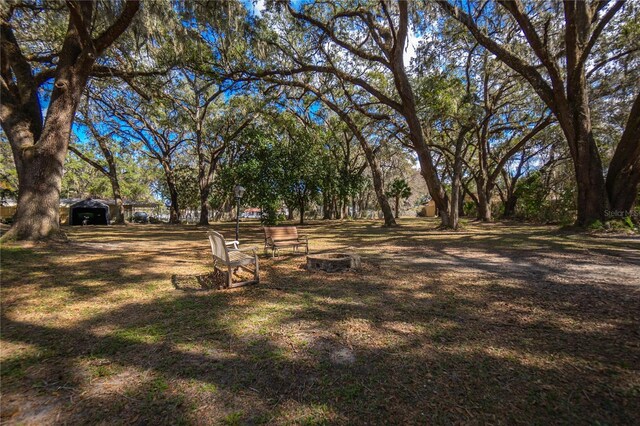 3299 County Road 521, Wildwood, FL 34785 - photo 44