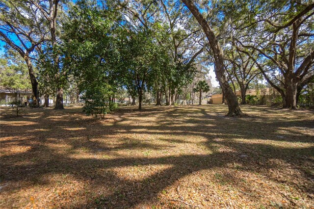 3299 County Road 521, Wildwood, FL 34785 - photo 45