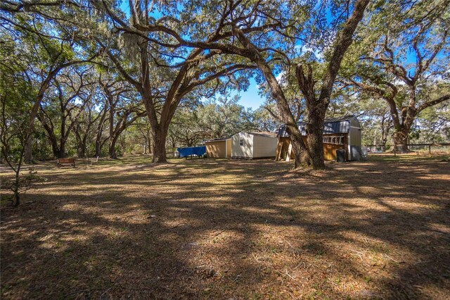 3299 County Road 521, Wildwood, FL 34785 - photo 47