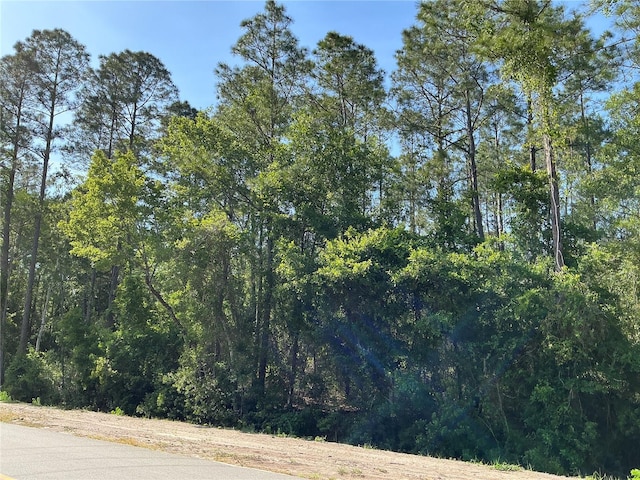 4200 Helena St, Hastings, FL 32145