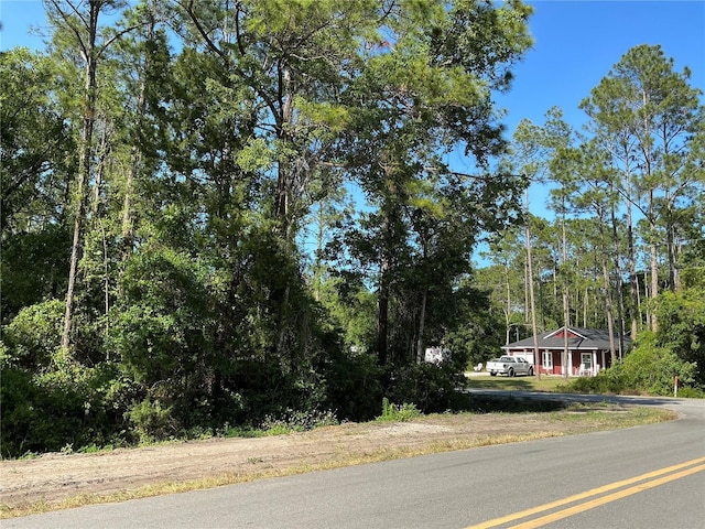 4200 Helena St, Hastings, FL 32145