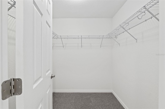 4121 SE 138th Pl, Summerfield, FL 34491 - photo 14