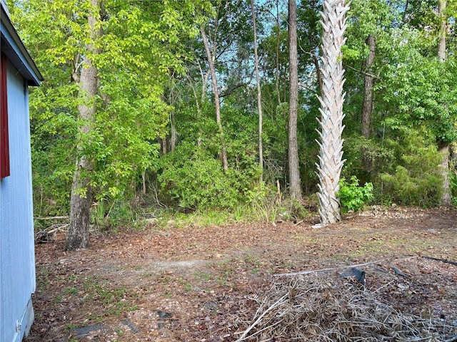 3035 NE 104th Ter, Silver Springs, FL 34488 - photo 9