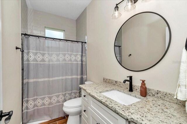 bathroom featuring toilet, vanity, and curtained shower