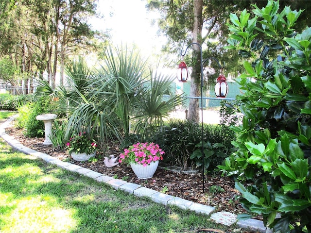 13762 SW 112th Ter, Dunnellon, FL 34432 - view of yard