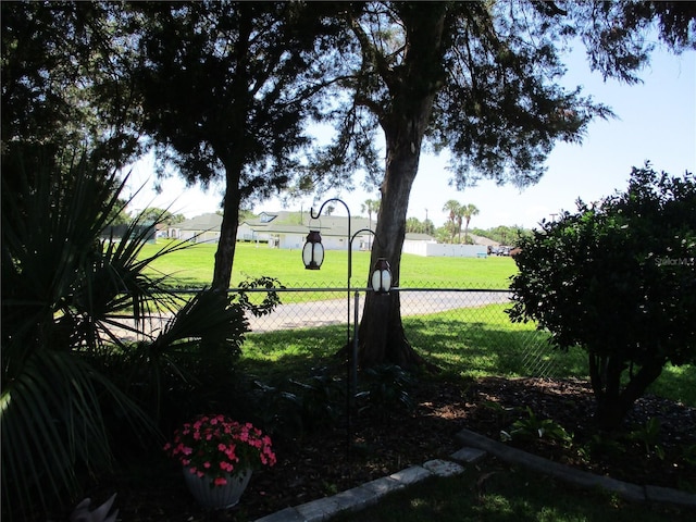 13762 SW 112th Ter, Dunnellon, FL 34432 - view of yard