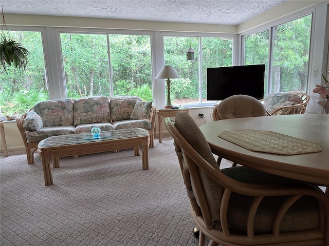 sunroom featuring carpet flooring