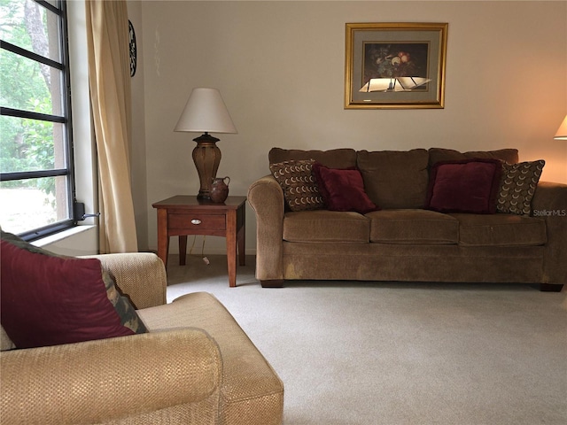 view of carpeted living room