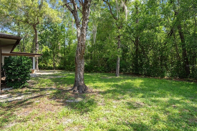 52 Douglas St, Homosassa, FL 34446 - photo 34