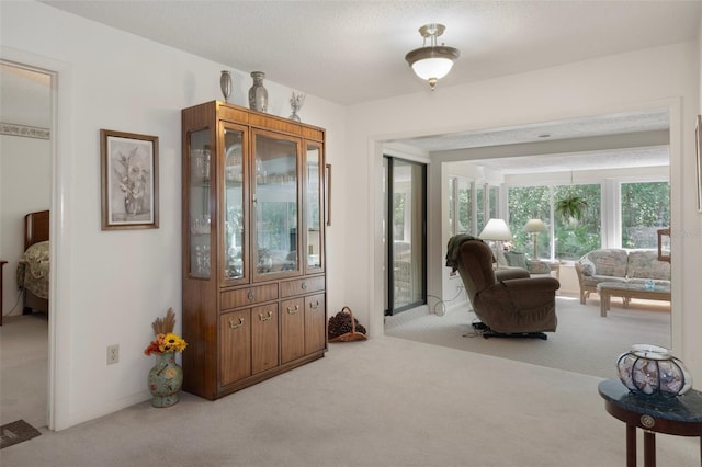 52 Douglas St, Homosassa, FL 34446 - photo 10