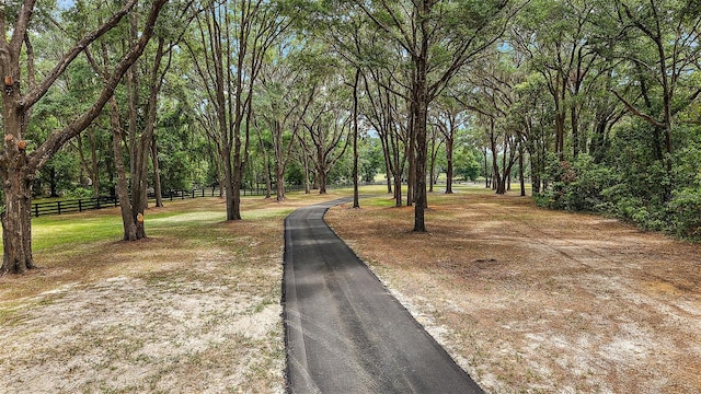 11416 NW State Road 45, High Springs, FL 32643 - view of yard