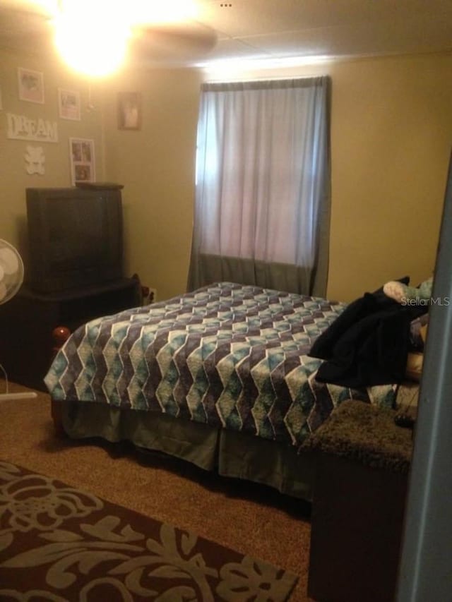 bedroom with carpet floors