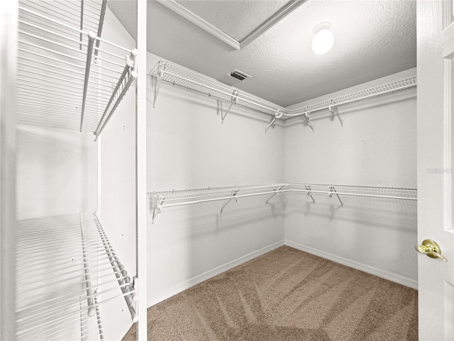 28 Golf View Dr, Ocala, FL 34472 - walk in closet featuring carpet flooring
