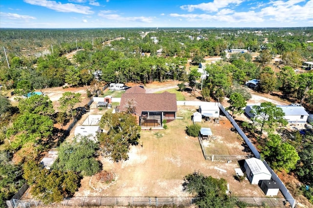 bird's eye view of a forest