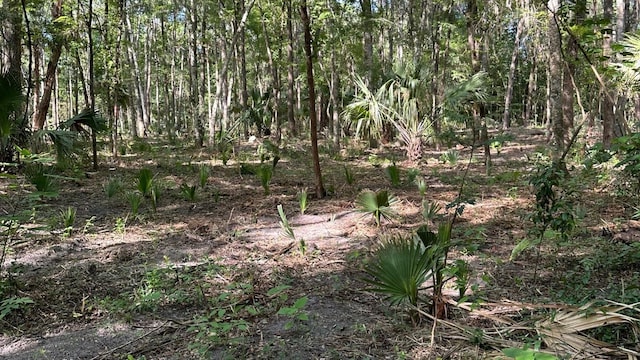SE 130th St, Belleview, FL 34420 - photo 5