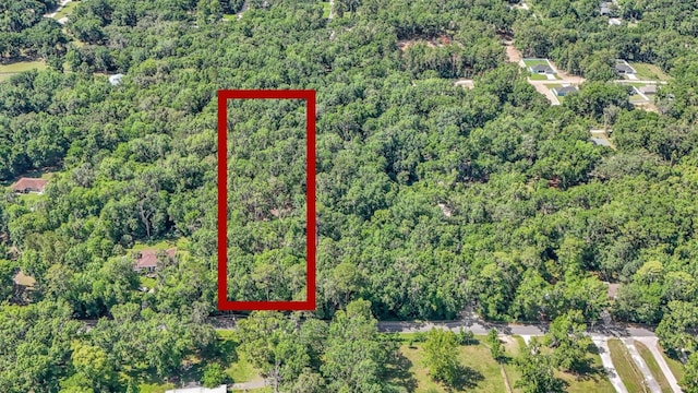 SE 130th St, Belleview, FL 34420 - photo 6