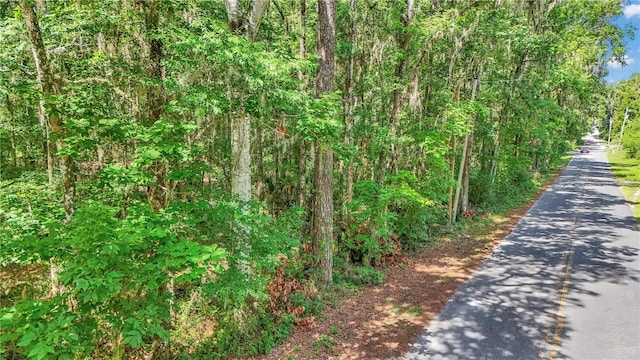 SE 130th St, Belleview, FL 34420 - photo 2