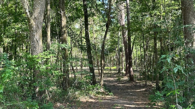 SE 130th St, Belleview, FL 34420 - photo 3