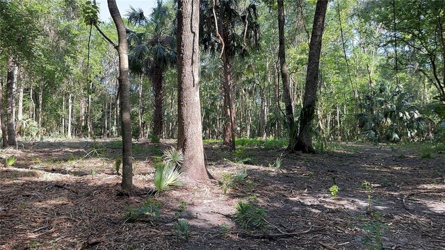 SE 130th St, Belleview, FL 34420 - photo 4