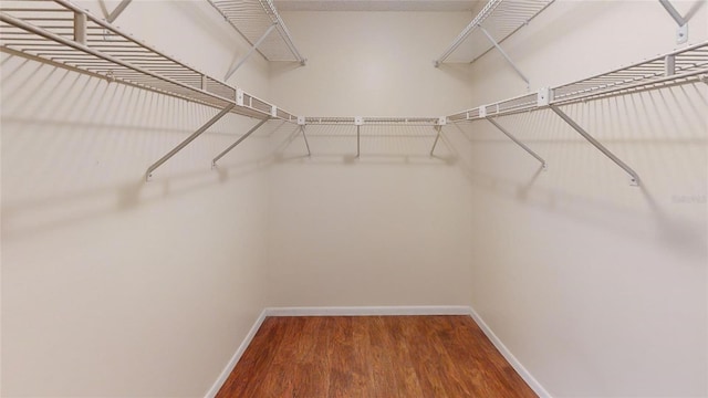 walk in closet featuring wood finished floors