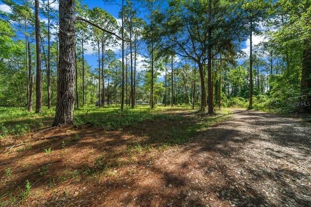 11521 SE 1st Street Rd, Silver Springs, FL 34488 - photo 46