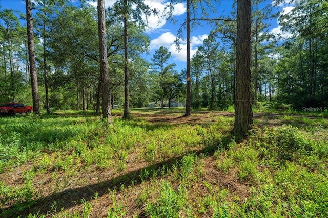 11521 SE 1st Street Rd, Silver Springs, FL 34488 - photo 53