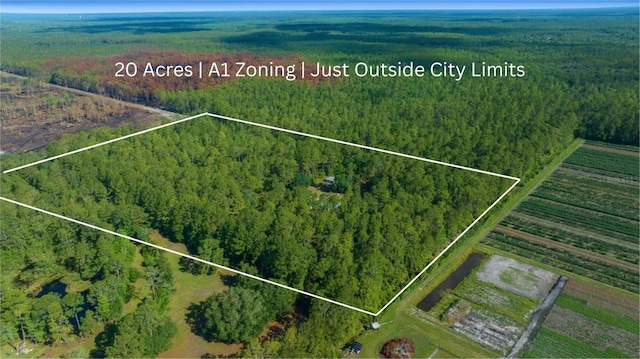 11521 SE 1st Street Rd, Silver Springs, FL 34488 - photo 59