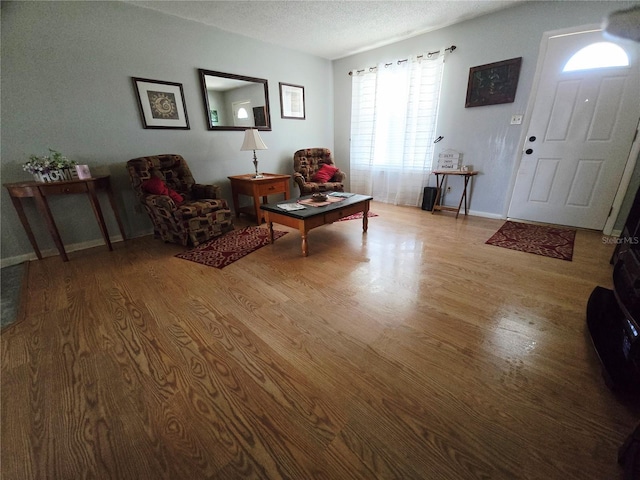 living room featuring wood finished floors, a textured ceiling, and baseboards
