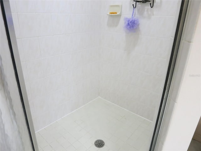 1799 W Shanelle Path, Lecanto, FL 34461 - full bathroom with a shower stall