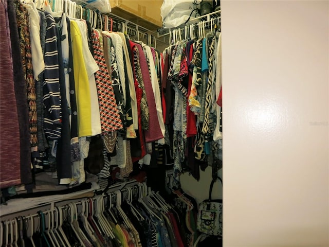1799 W Shanelle Path, Lecanto, FL 34461 - view of walk in closet