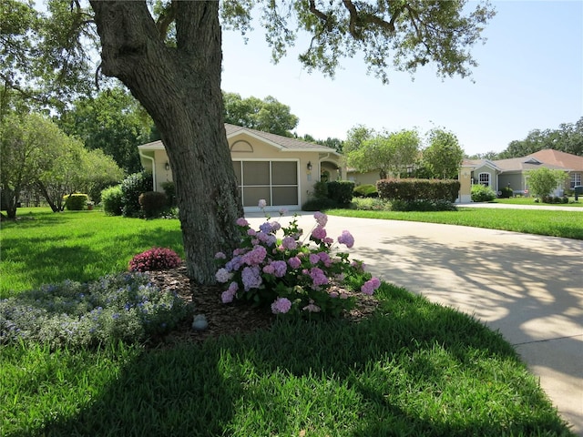 1799 W Shanelle Path, Lecanto, FL 34461 - view of grassy yard with driveway and an attached garage