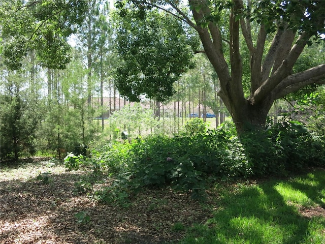 1799 W Shanelle Path, Lecanto, FL 34461 - view of undeveloped land