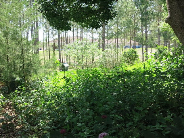 1799 W Shanelle Path, Lecanto, FL 34461 - view of undeveloped land