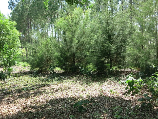 1799 W Shanelle Path, Lecanto, FL 34461 - view of wooded area