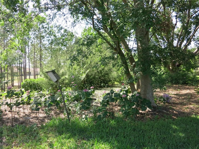 1799 W Shanelle Path, Lecanto, FL 34461 - view of undeveloped land