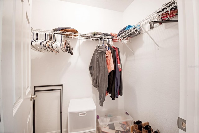 13561 SW 85th Pl, Dunnellon, FL 34432 - view of spacious closet