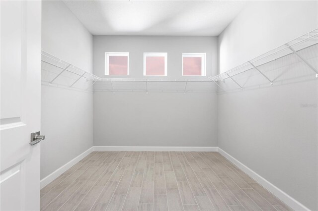 2254 Amberly Ave, Orlando, FL 32833 - walk in closet with light wood-style floors