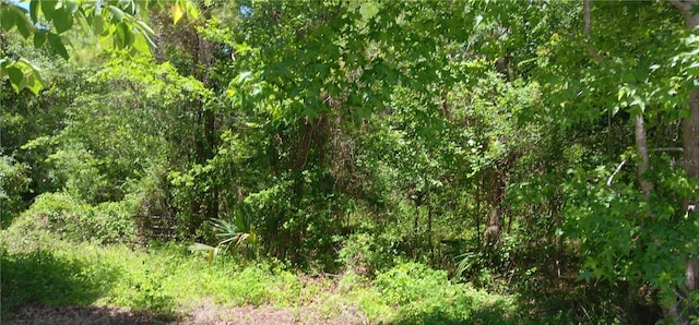 00 NW 82nd Ct, Ocala, FL 34482