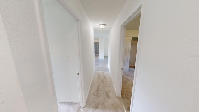 1912 NE 50th St, Ocala, FL 34479 - photo 31