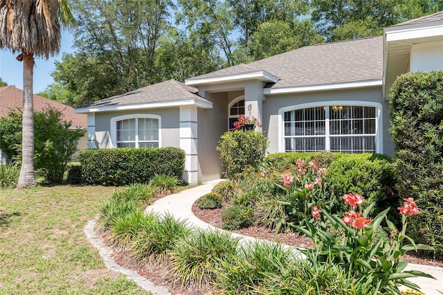 8053 SW 62nd Ave, Ocala, FL 34476 - view of front of home with a shingled roof, stucco siding, and a front lawn