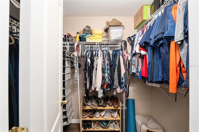 8053 SW 62nd Ave, Ocala, FL 34476 - view of spacious closet
