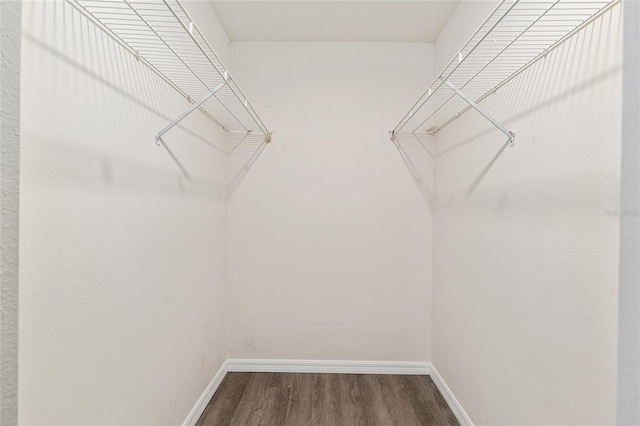 9729 SW 97th St, Ocala, FL 34481 - walk in closet with dark wood-style floors